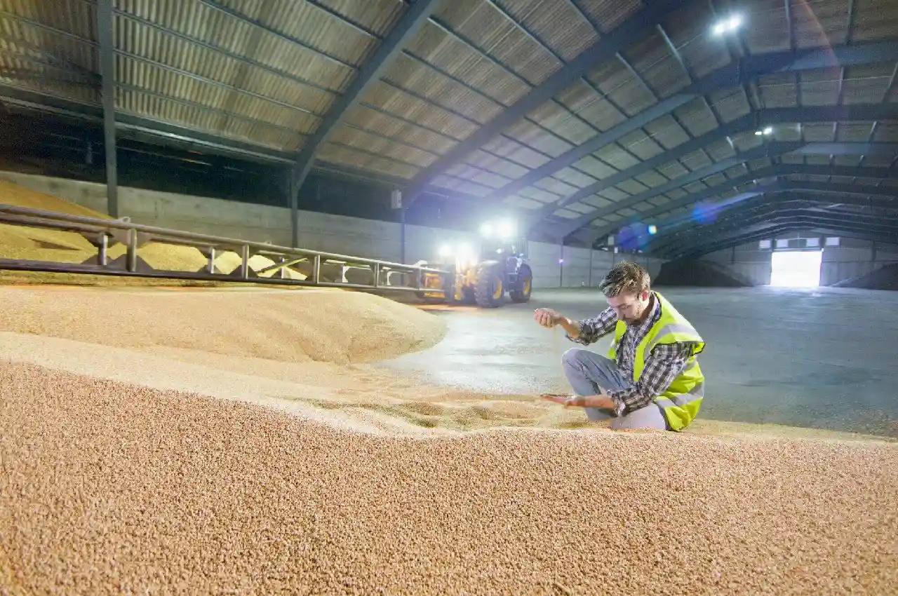 Choose the Right Grain Handling Equipment for Your Farming Business