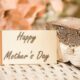 Guide to Finding the Perfect Mother's Day Gift for Your Grandmother