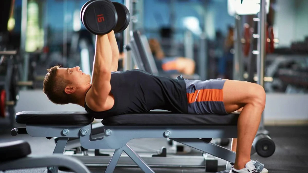 Maximize Your Results: Selecting the Perfect Gym Bench and Other Essential Fitness Equipment