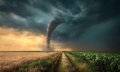 What you should know about the process of hiring tornado damage restoration contractors