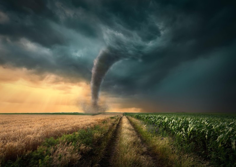 What you should know about the process of hiring tornado damage restoration contractors