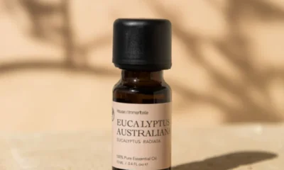 From Eucalyptus to Pure Air: Integrating Australian Essential Oils with Advanced Aromatic Technologies in Your Home