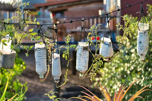 Transform Your Garden with Creative Upcycling: Trellises and Fences from Discarded Items