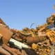 The Impact of Waste Management Software