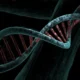 The Benefits of DNA Methylation Testing for Personalized Healthcare