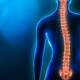 Navigating Your Path: From Scoliosis Detection to Specialist Treatment in Sydney