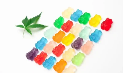 The Ultimate Guide to Buying Online THC Edibles: Everything You Need to Know