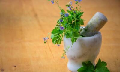 From Plants to Mindfulness: A Comparison of Homeopathic vs Holistic Treatment Modalities