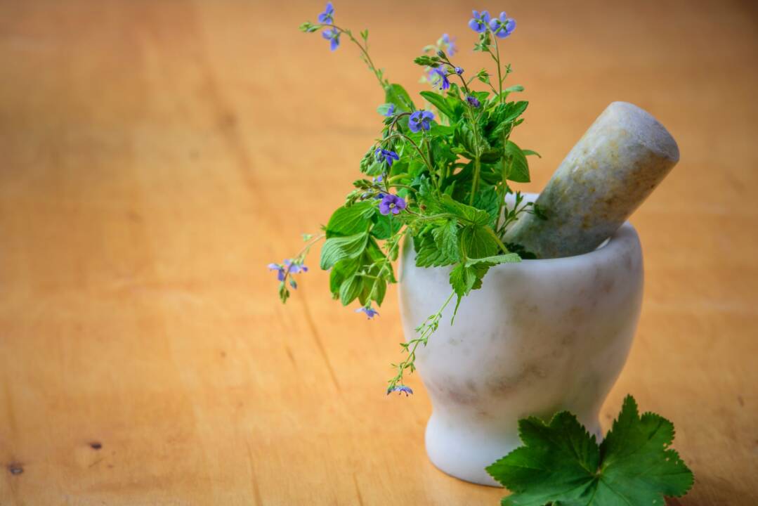 From Plants to Mindfulness: A Comparison of Homeopathic vs Holistic Treatment Modalities
