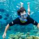 Is It Worth Booking the #1 Snorkeling Charters in the Florida Keys?