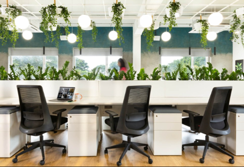 Greening Your Office: Why Pre-Owned Furniture Is A Smart Choice?