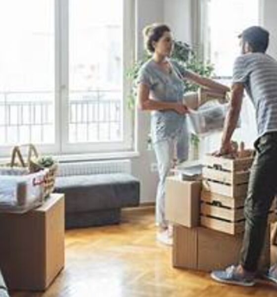 Essential Tips for a Stress-Free Apartment Move