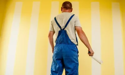 The Pros and Cons of Hiring a Professional House Painter