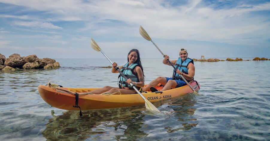 Experience Exciting Adventures at Dolphin Cove Ocho Rios in Jamaica