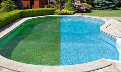 Understanding Green to Clean Service: Reviving Your Pool