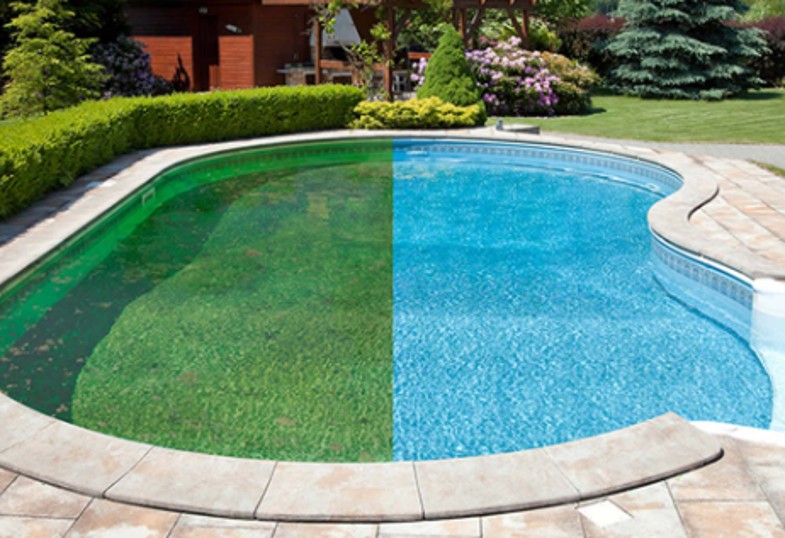 Understanding Green to Clean Service: Reviving Your Pool