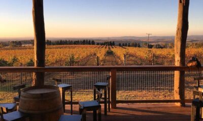 The Elegance of Altitude: Exploring Orange, NSW's Exquisite Wine Tasting Scene and Cool Climate Vintages