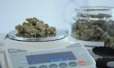 Online vs. In-Store: Where to Find the Better Deals at Dispensary