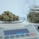 Online vs. In-Store: Where to Find the Better Deals at Dispensary