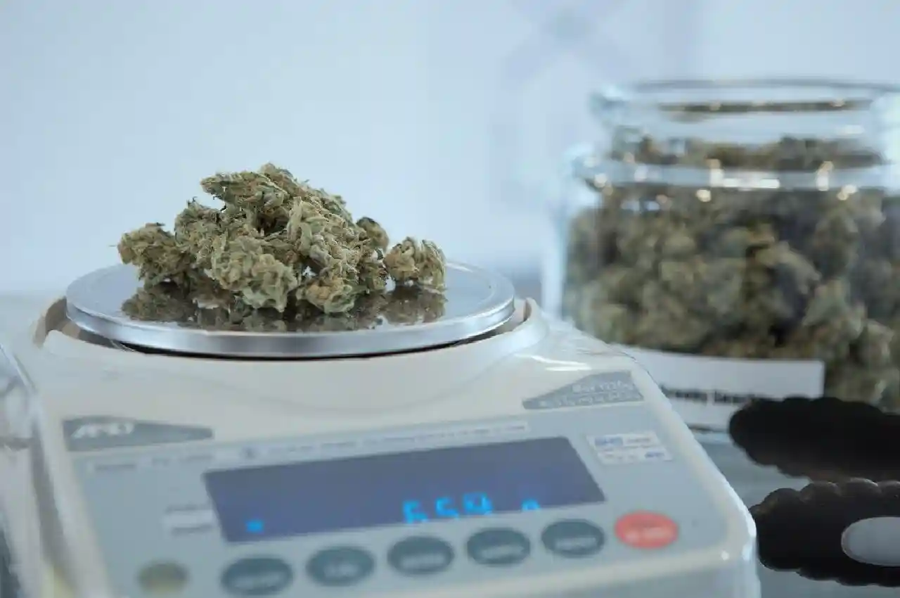 Online vs. In-Store: Where to Find the Better Deals at Dispensary