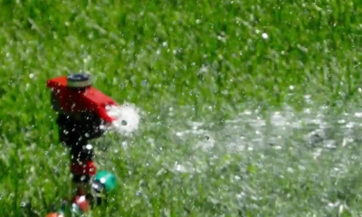 How Lawn Sprinkle Water Systems Can Save You Money on Water Bills