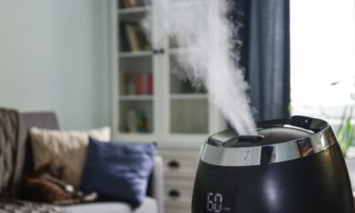 5 Reasons Why a Humidifier is Essential For Your Home Comfort