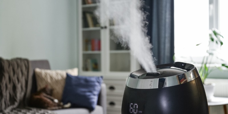 5 Reasons Why a Humidifier is Essential For Your Home Comfort