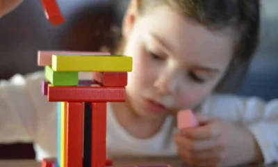 The Ultimate Guide to Montessori Wooden Toys: Benefits and Options