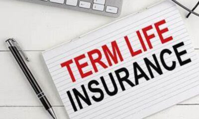 What Sets Apart Term Life Insurance from Other Coverage Options?