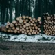 The Essential Tools for Logging and Sawmill Operations