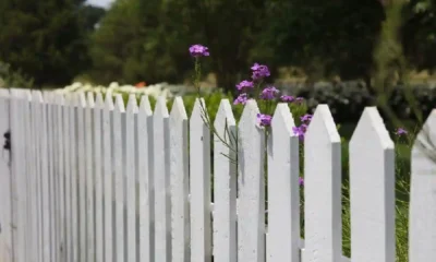 Ultimate Reasons to Choose Wrought Iron Fencing for Your Property