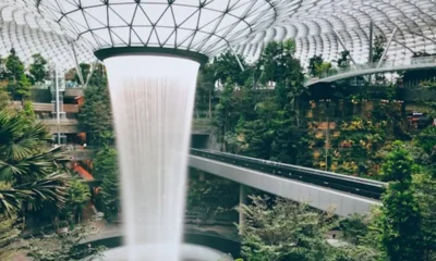 A Solo Traveler's Guide to Navigating Singapore