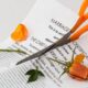 Contested and Uncontested Divorce in Boston, Massachusetts: Which One is Right for Your Situation?