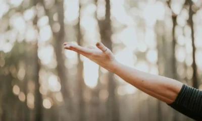 The Ultimate Guide to Detoxification: Cleansing Your Body from Heavy Metals