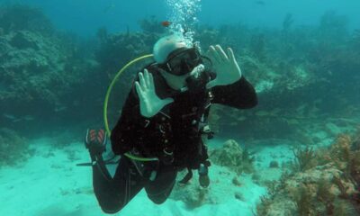 How to Choose the Best Scuba Diving Charters Near Islamorada for Your Next Adventure