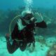How to Choose the Best Scuba Diving Charters Near Islamorada for Your Next Adventure