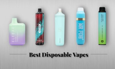  The Best Disposable Vapes of 2025: Lost Mary Vape, IVG Vape, and Hayati Pro Max Explained