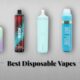 The Best Disposable Vapes of 2025: Lost Mary Vape, IVG Vape, and Hayati Pro Max Explained