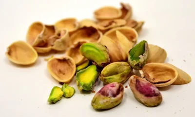 Nutty Combinations: Exploring the Best Pistachio Pairings