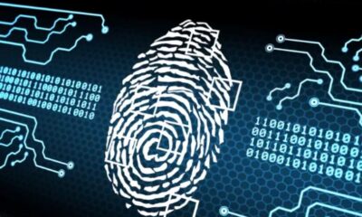 Fiordintel.net: A Deep Dive into Crypto Scam Recovery and Blockchain Forensics
