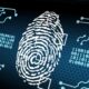 Fiordintel.net: A Deep Dive into Crypto Scam Recovery and Blockchain Forensics