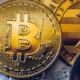 How Companies Can Start to Accept Crypto Payments Today