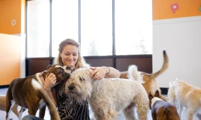Boarding Your Dog: Tips, Tricks, and Must-Knows for Pet Parents