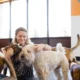 Boarding Your Dog: Tips, Tricks, and Must-Knows for Pet Parents