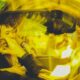 The Importance of Sober Companions in the Recovery Process