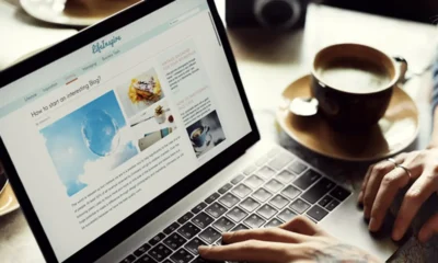 Free wordpress theme