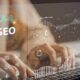 SEO Strategies That Deliver Results: Fresh Approaches To Digital Growth