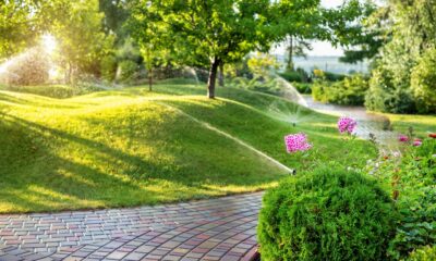The Benefits of Professional Landscaping Services for Your Property