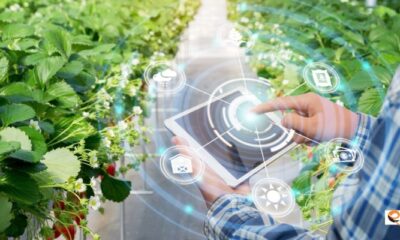 Why Mannacote is the Ultimate Solution for Your Gardening Needs