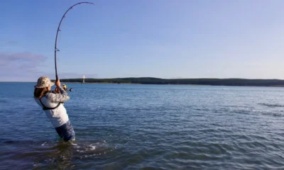 Essential Techniques for Live Bait Fishing: Choosing the Best Saltwater Fishing Reel